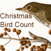 Christmas Bird Count - 102nd Season